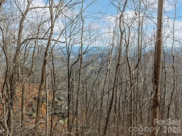 Lot 56 White Oak Mountain RD #56, Columbus, NC 28722
