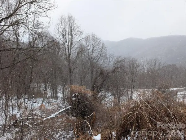 00 Bear Wallow TRL, Canton, NC 28716