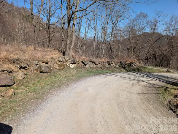 00 Bear Wallow TRL, Canton, NC 28716