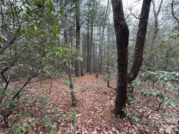 TBD Deer Antler DR #82, Purlear, NC 28665
