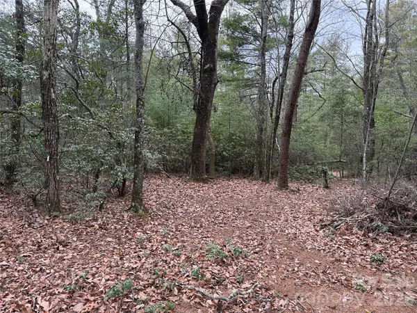 TBD Deer Antler DR #82, Purlear, NC 28665