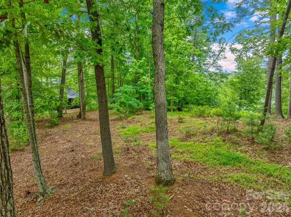 17 Hendrickson CT, Candler, NC 28715