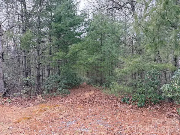 TBD (Lot 1) Dugger Firetower RD #1, Lenoir, NC 28645
