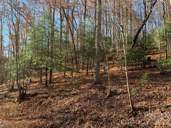 TBD (Lot 1) Dugger Firetower RD #1, Lenoir, NC 28645