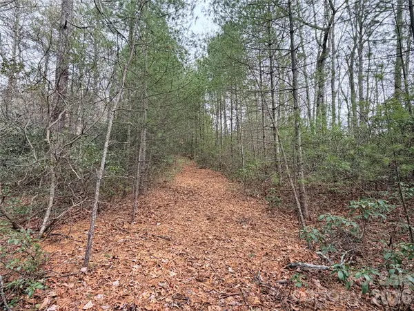 TBD (Lot 4) Wolf Den LN #4, Lenoir, NC 28645