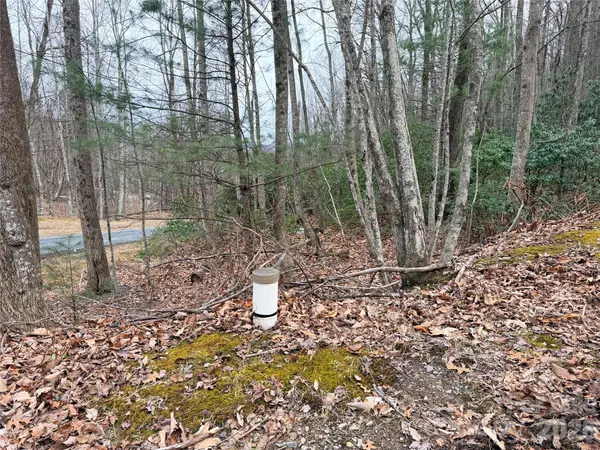 TBD (Lot 19) Wolf Den LN #19, Lenoir, NC 28645