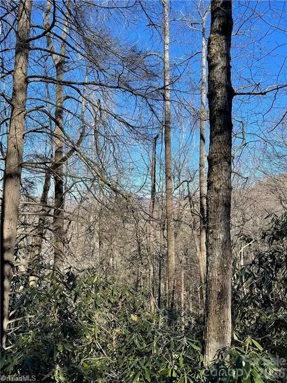 Lot E-15 Laurel Ridge RD, Banner Elk, NC 28604