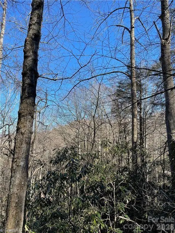 Lot E-15 Laurel Ridge RD, Banner Elk, NC 28604