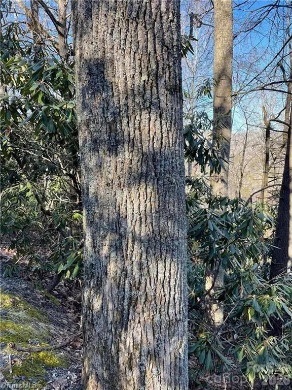 Lot E-15 Laurel Ridge RD, Banner Elk, NC 28604