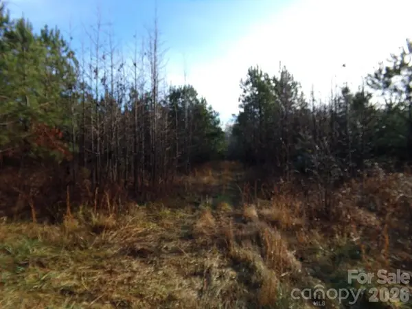 104 Ac Cedarhurst RD, Chester, SC 29706