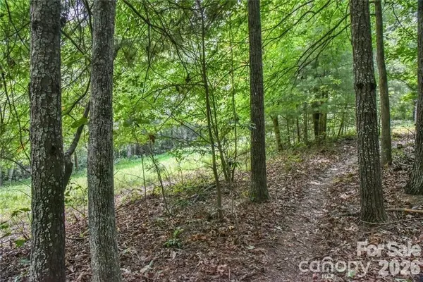 19 Laurel Loop RD, Fairview, NC 28730