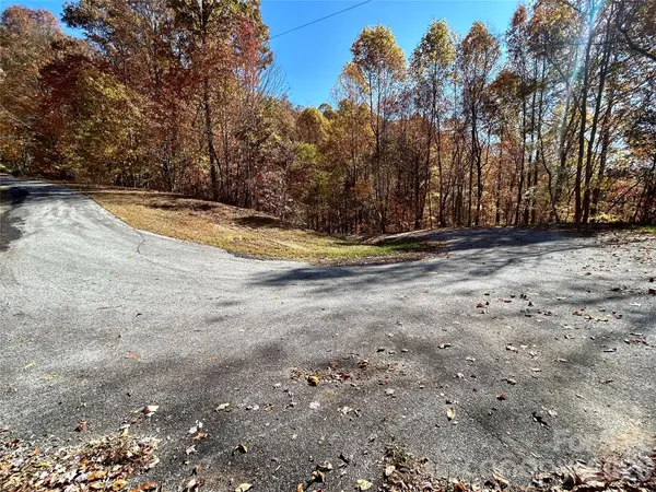0 Grizzly RDG #57, Bryson City, NC 28713