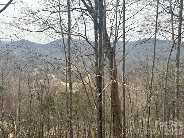 00 Country Club DR #11, Whittier, NC 28789