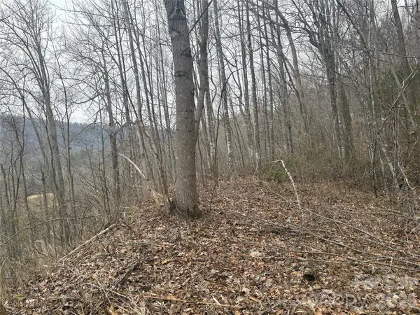 00 Country Club DR #11, Whittier, NC 28789