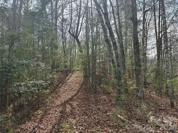 00 Round Hill RD #14, Bryson City, NC 28713