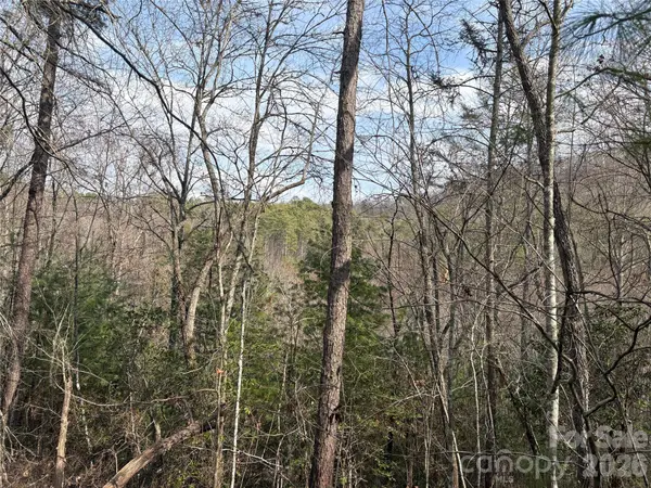 00 Round Hill RD #14, Bryson City, NC 28713