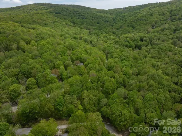 101 Indian TRL #1, 2, 3, Beech Mountain, NC 28604