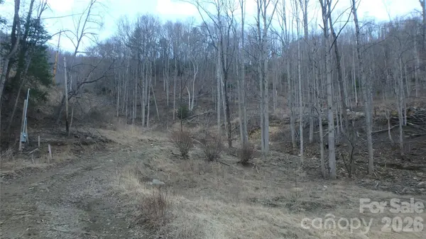 4696 NC Hwy 226A HWY, Marion, NC 28752