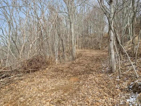 Lot #5 Viewpoint MTN, Waynesville, NC 28786