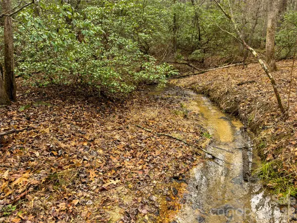 Lots 4-7 Carmel RDG, Rutherfordton, NC 28139