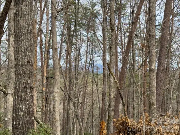 Lots 4-7 Carmel RDG, Rutherfordton, NC 28139