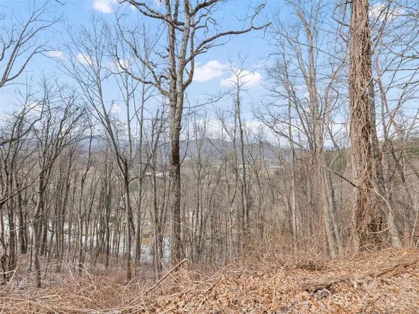 Lot #8 Viewpoint MTN, Waynesville, NC 28786