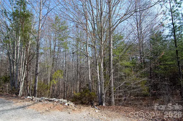 00 Sundance DR #3-IV, Nebo, NC 28761