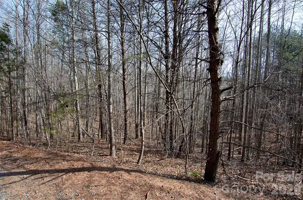 00 Sundance DR #3-IV, Nebo, NC 28761