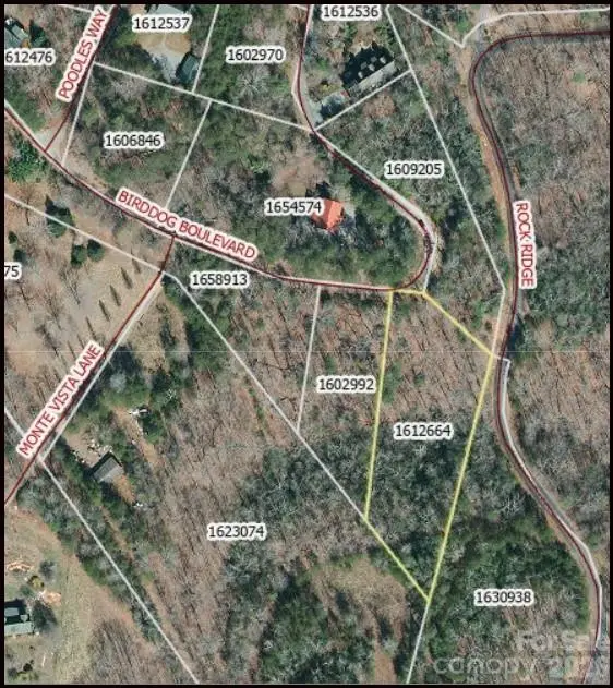 0 Birddog BLVD #328, Lake Lure, NC 28746