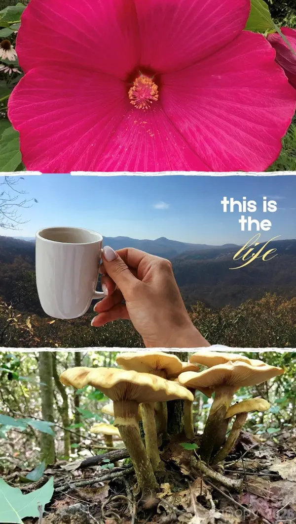 110 South Fork TRL #10, Lake Toxaway, NC 28747