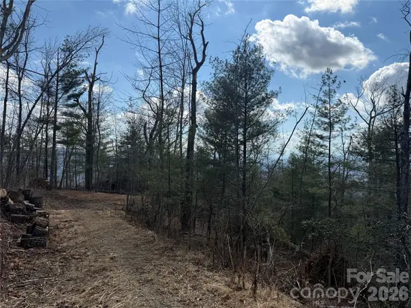 000 Rambling Ridge RD #16, Asheville, NC 28804