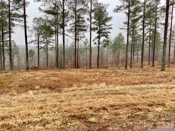 1838 Jumping RUN #23, Connelly Springs, NC 28612