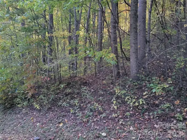 00 Covecrest LN #15, Maggie Valley, NC 28751