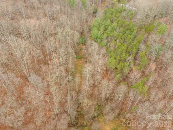 1974 Ammons Branch RD, Marshall, NC 28753