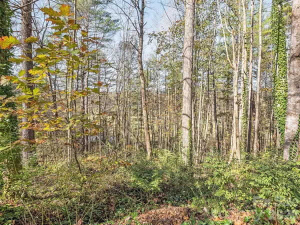 LOT 14 Mountain Lakes DR #14, Hendersonville, NC 28739