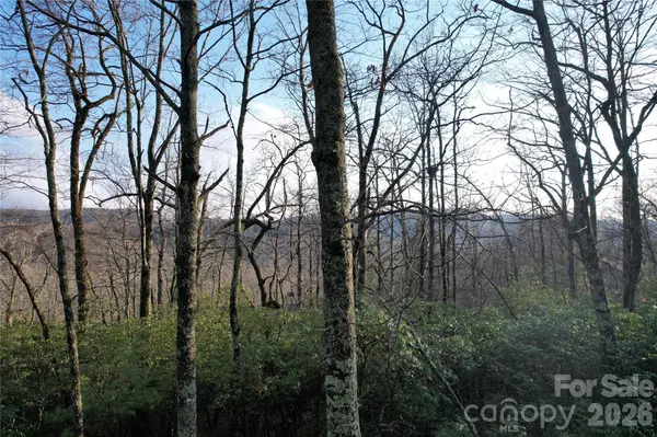TBD Laurel Thicket LN, Brevard, NC 28712