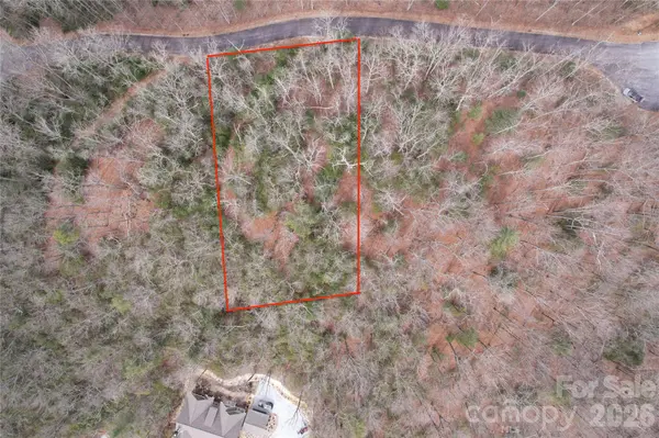 TBD Laurel Thicket LN, Brevard, NC 28712