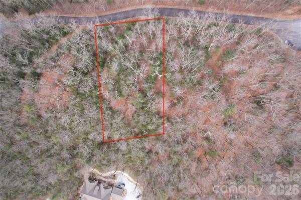 TBD Laurel Thicket LN, Brevard, NC 28712