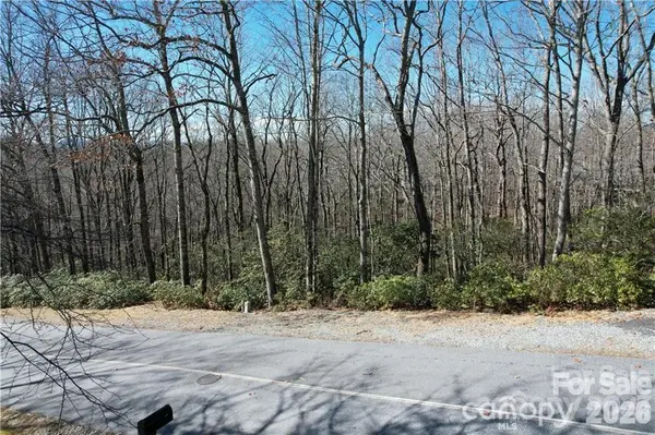 U19 L053 Gawanv CT, Brevard, NC 28712