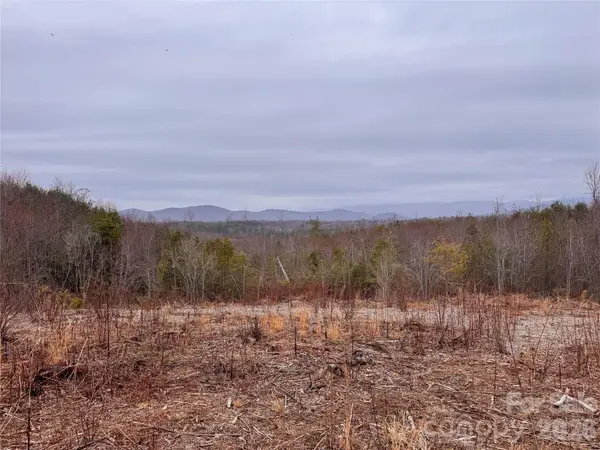 00 Baugess Mill RD, Traphill, NC 28685