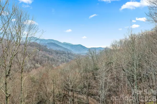 328 Mountain Lion TRL, Maggie Valley, NC 28751