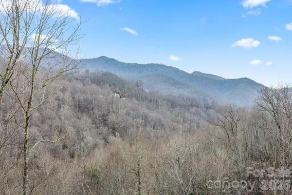 328 Mountain Lion TRL, Maggie Valley, NC 28751