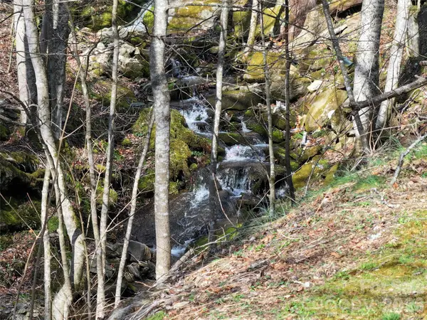 1002 Ned Cove RD, Waynesville, NC 28785