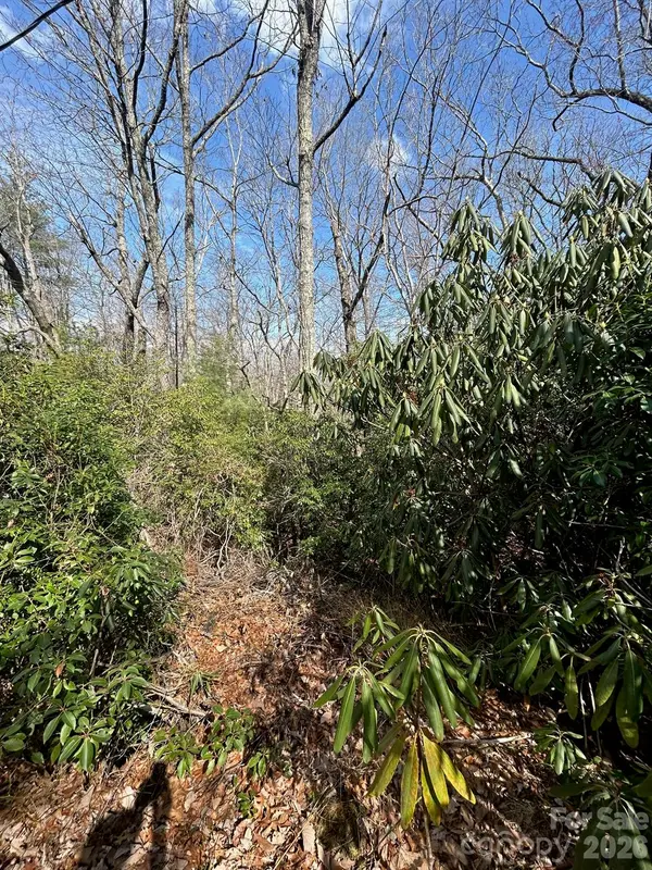 Lot 38 High Peak RD, Hendersonville, NC 28739