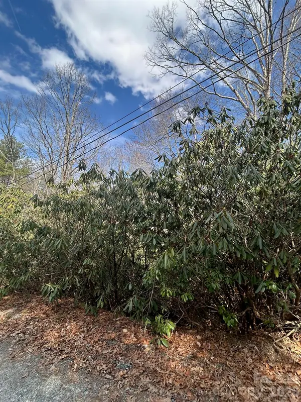 Lot 38 High Peak RD, Hendersonville, NC 28739