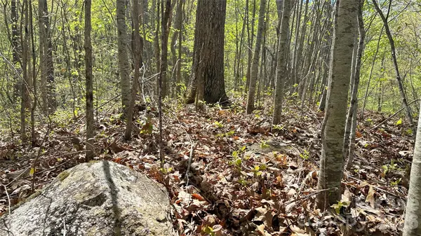 0000 Oat Field RD #5B, Tuckasegee, NC 28783