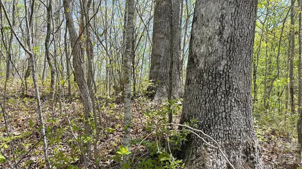 0000 Oat Field RD #5B, Tuckasegee, NC 28783