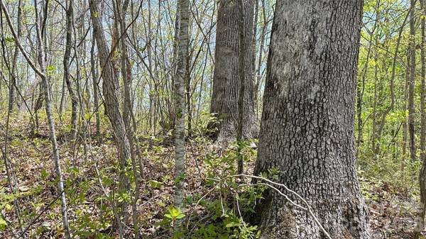 0000 Oat Field RD #5B, Tuckasegee, NC 28783