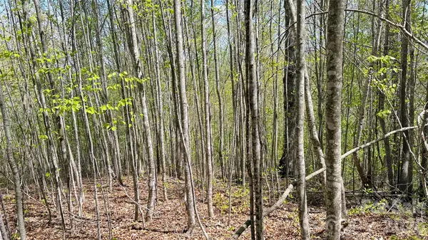 0000 Oat Field RD #5B, Tuckasegee, NC 28783
