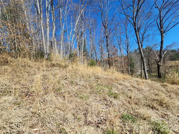 9999 Country DR, Mars Hill, NC 28754